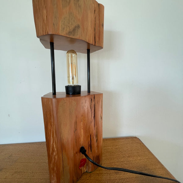 Wood table lamp made by shades at grays from 2 solid blocks of tōtara wood and metal tubes, back view, unlit.