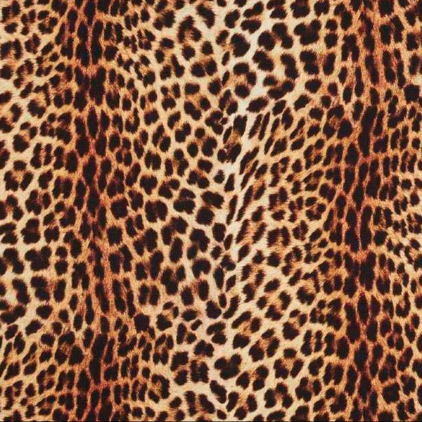Leopard print pattern close up