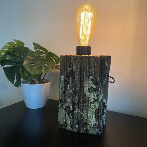 Wooden lamp with a lit bulb on a dark surface next to a potted plant.