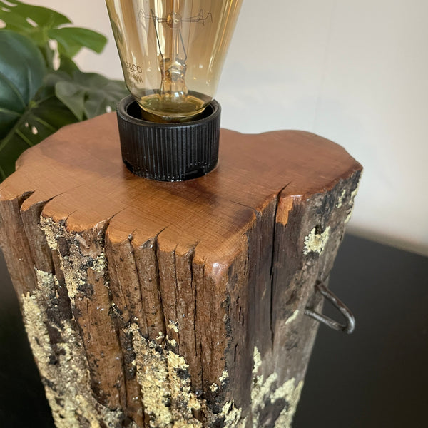 Lichen covered wood table lamp, with original staple and replica edison bulb, lit, top and sides.