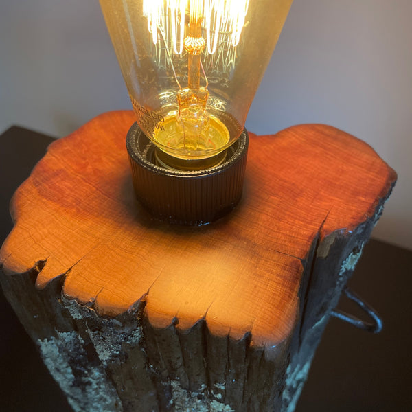 Lichen covered wood table lamp, with original staple and replica edison bulb, lit, top view by shades at grays.