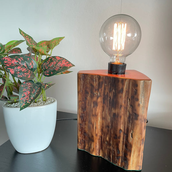 Wood table lamp handcrafted by shades at grays from reclaimed totara fence post, with old staple in postion, side view, with tortoiseshell markings.