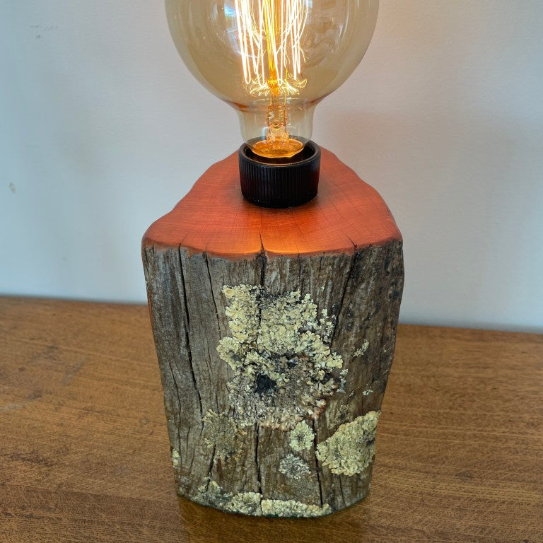 Reclaimed authentic tōtara post with lichen handcrafted table lamp by shades at grays with edison bulb, lit, front and top view.