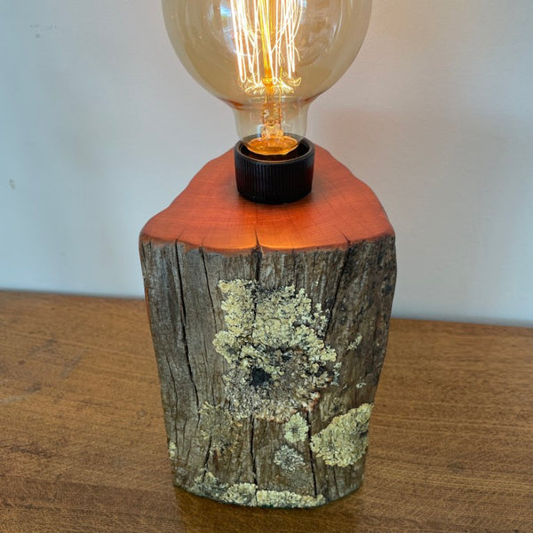 Reclaimed authentic tōtara post with lichen handcrafted table lamp by shades at grays with edison bulb, lit, front and top view.