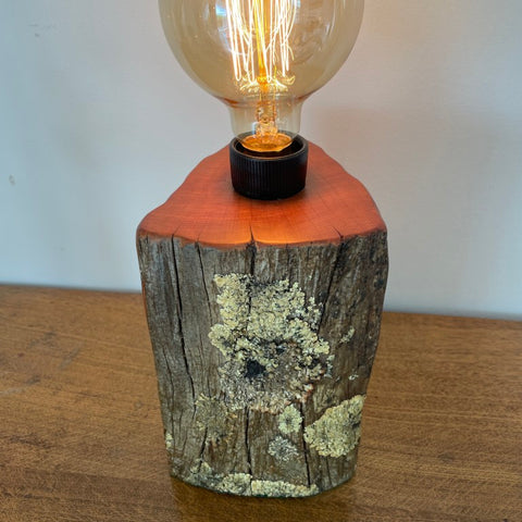 Reclaimed authentic tōtara post with lichen handcrafted table lamp by shades at grays with edison bulb, lit, front and top view.