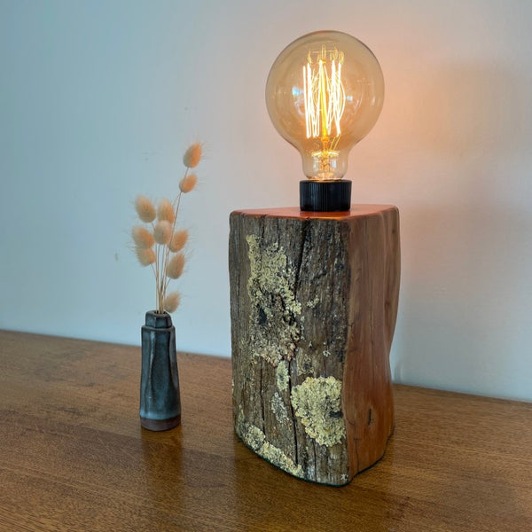 Reclaimed authentic tōtara post with lichen handcrafted table lamp by shades at grays with edison bulb, lit, side view.