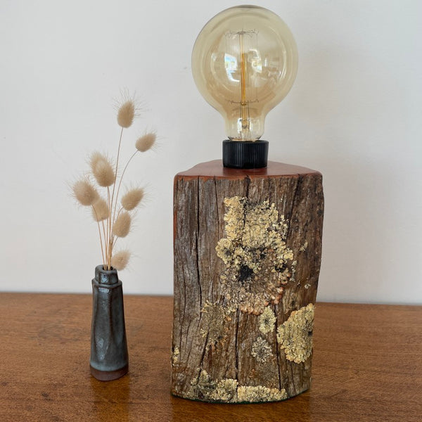 Reclaimed authentic tōtara post with lichen handcrafted table lamp by shades at grays with edison bulb, unlit.
