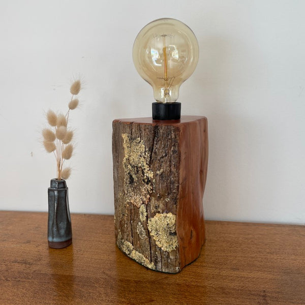Reclaimed authentic tōtara post with lichen handcrafted table lamp by shades at grays with edison bulb, unlit, side view.