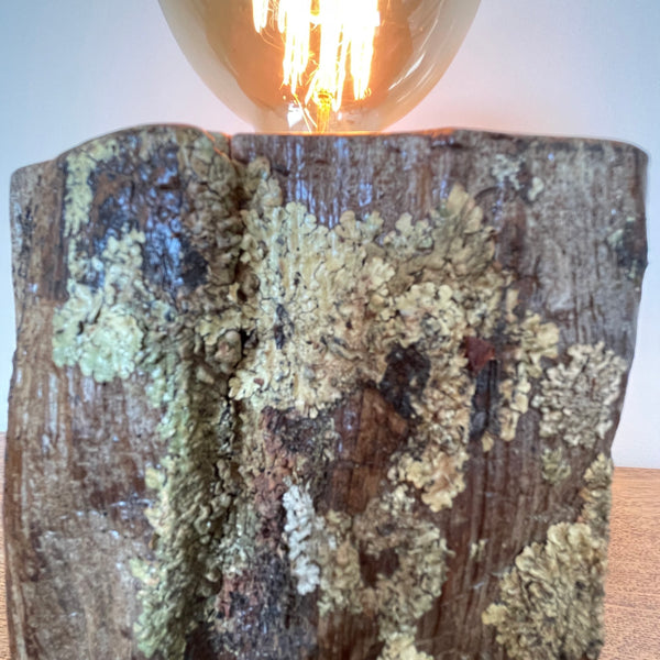 Reclaimed tōtara fence post wood table lamp, close up of retained lichen, crafted by shades at grays.