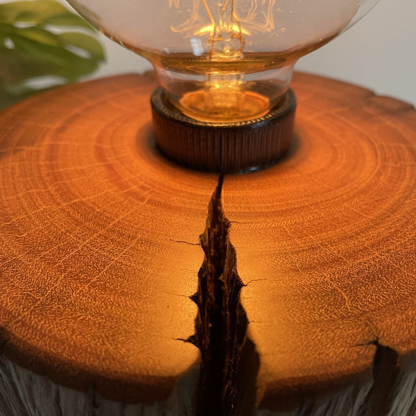 Round wooden table lamp upcycled from authentic telegraph pole, polished smooth top with edison bulb, crafted by shades at grays