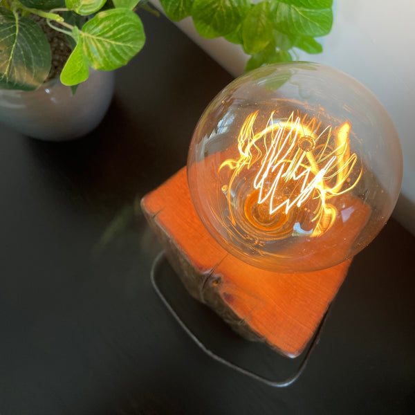 Rustic tōtara fence post crafted into a wood table lamp with replica edison bulb by shades at grays, close up of top view of smooth grain and bulb, lit.