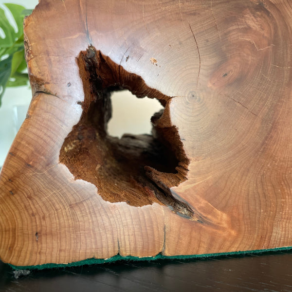 Totara wood lamp crafted by shades at grays, polished to smooth finish with close up of large eroded hole.