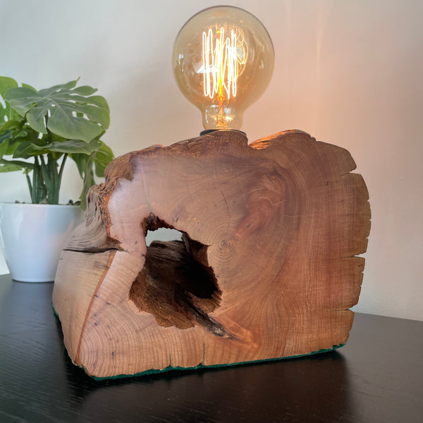 Totara wood lamp crafted by shades at grays, polished to smooth finish with large eroded hole, side view, lit.
