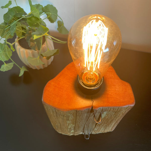 Original totara wood fence post table lamp, crafted by shades at grays, lit, top view of smooth top grain.