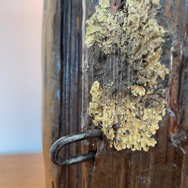 Upcycled tōtara fence post, with distinctive lichen pattern, close up.