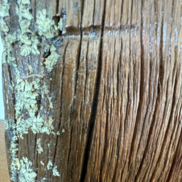 Upcycled wood lamp handcrafted by shades at grays from vintage totara post, close up of original retained lichen.