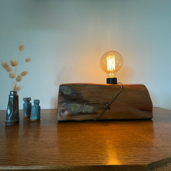Wood table lamp reclaimed from vintage tōtara post with retained lichen and wire and the addition of a replica edison bulb, lit, long front view, handcrafted by Shades at Grays.