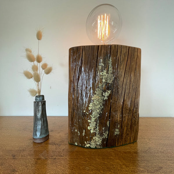 Wood table lamp with natural lichen and edison bulb, handcrafted by shades at grays, lit, front view.