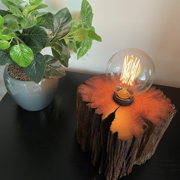 Wooden table lamp crafted from old wharf timber with edison bulb made by shades atgrays, new zealand. Polished top grain.