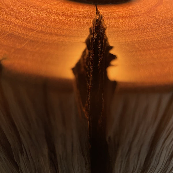 Wooden table lamp upcycled from authentic jarrah telegraph pole with edison bulb, lit. Eroded scar close up.