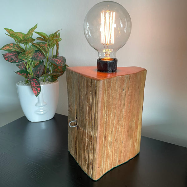 Wood table lamp handcrafted by shades at grays from reclaimed totara fence post, with old staple in postion, front and side view, lit.