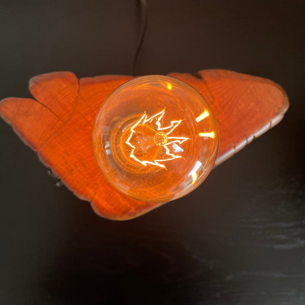 Wooden table lamp upcycled from old totara post by shades at grays close up with lit edison bulb.