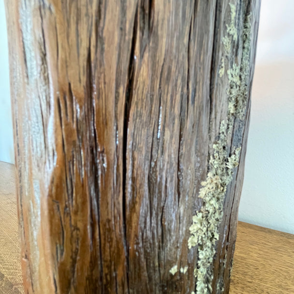 Wood table lamp with natural lichen, close up of lichen and wood grain on side view. 