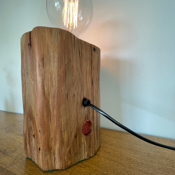 Wood table lamp with natural lichen and edison bulb, handcrafted by shades at grays, lit, back view.