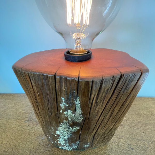 Wood table lamp with natural lichen and edison bulb, handcrafted by shades at grays, lit, smooth top view and front.