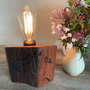 Shades at Grays Edison Lamp Edison Lamp - Jarrah Post handcrafted lighting made in new zealand