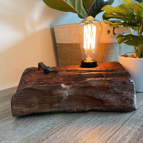 Shades at Grays Lighting Edison Lamp - Wharf series #44 handcrafted lighting made in new zealand