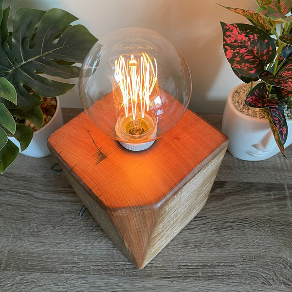 Shades at Grays Edison Lamp Edison Lamp - Totara Post #6 handcrafted lighting made in new zealand