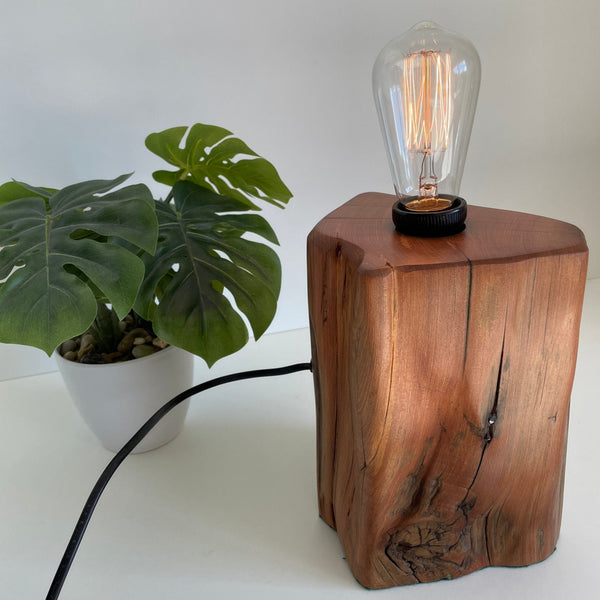 Recycled wooden table lamp, handcrafted from old totara post with timber knot and old stape retained.