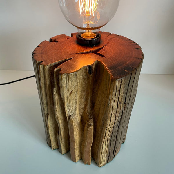 Round timber table lamp with edison bulb. Polished top and natural timber crack. Front view